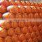 2kg 3kg 5kg lpg gas cylinder for kitchen cooking