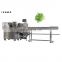 Horizontal manual flow pack dry fresh frozen automatic fruit and Vegetable Pillow Packing Machine