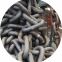 Factory direct supply Stud Link  Marine Anchor Chains with FIVE year warranty
