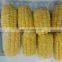 Sinocharm Frozen vegetable  Grown in Greenhouses 5-7cm IQF Cut Sweet Corn Frozen Sweet Corn