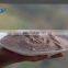 antistatic silver coated copper powder