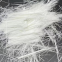 Fiber Chopped Strands E Glass Buy Glass Fiber Chopped Strand for Cement Board