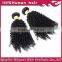 2015 new style No Shedding brazilian Remy curly Double Drawn Virgin Hair