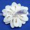 Sola flower