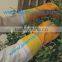 ventilated Beekeeping Gloves / Leather Gloves for beekeeping protection