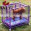 All Kinds Of Dog Cages Sale On  Platform