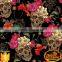 Customer Favorite Dazzle Graphic Skull Water Transfer Film No.DGLGD060 Water Transfer Printing