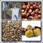 Automatic Chinese Chestnut Peeling Machine for sale