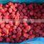 We are supply IQF frezon All Star Strawberry with good quality
