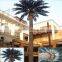 Artificial Planting Tree Ferns Tree Large Landscape Tree Date Palm Tree Types Customized Phoenix Dactylifera