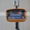 Mini Portable Crane Scale 300kg 0.1kg LCD Display Digital Electronic Hook