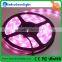 Factory price trade assurance RGB christmas decorative LED pixel light tape