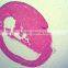 biology chick embryo microscope slides