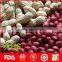 Peanut kernel in red shell for wholesale