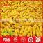 White and yellow corn for animal feed