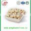 High quality Chinese blanched peanut kernel with nice taste and choose