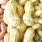 wholesale blanched peanut kernels