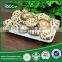 2015 HOT Cheap Market Prices for Mushroom for Sale