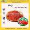 GMP Certified Manufacturer Supply 2016 Chinese Goji Berry