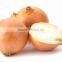 Producer & Supplier of Fresh Yellow Onion from India