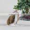 lifelike mini forest simulation lifelike rabbit