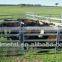 portable livestock cattle panel