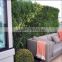 Exterior grade green walls made with Buxus sprays to create a simple green backdrop