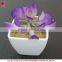 Mini potted succulents plants factory selling mini artificial succulents