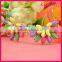 Accept sample order Wholesales colorful bead chunky necklace WNK-231