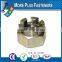 Made in Taiwan Brass Plated Stainless Steel Black Phosphate Half Castle Nut