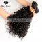 Black Rose Fast Shipping Human Hair Dubai, Virgin Brazilian Human Remy Hair Extensions