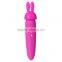 Rabbit Sex Toys Women Vibrator With 3 Caps G-spot Vibrating Sex Massage Machine