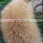 Wholesale Price Raccoon Fur Collar For Garment Winter Coat