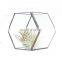 terrarium geometric glass terrarium wholesale