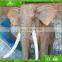 KAWAH Zoo Decration Lifelike Animatronic Elephant Animal Sculpture