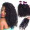Tangle Free Brazilian Tangle Free Russian? 20 12 -20 Inch Inches Curly Human Hair Wigs