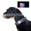 Pet supplies led flashing night dog collar