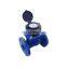 DN80mm bulk agriculture woltman water meter