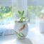 succulent ceramic plant natural Korea design handmade flower pot