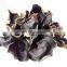 High Quality Black Fungus Wood Ear Mushrooms/
