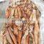 high quality frozen west africa squid whole round