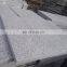 Flamed g603 granite backyard pavers