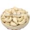 cashew nuts buyers cashew nuts of tanzania