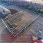 stone cage mesh