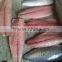 Processed frozen Pacific mackerel fillet and Scomber Japonicus