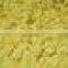 SULPHUR