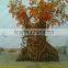Realistic Talking Tree for Sale Life Size Talking Tree