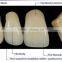 CE Approved Synthetic Polymer Teeth
