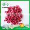 Fast Delivery Freeze Dried Raspberry