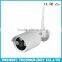 Outdoor Night Vision IP66 Camera 2.4G wifi Lcd NVR Video Recorder with 10 Inch Touch Screen